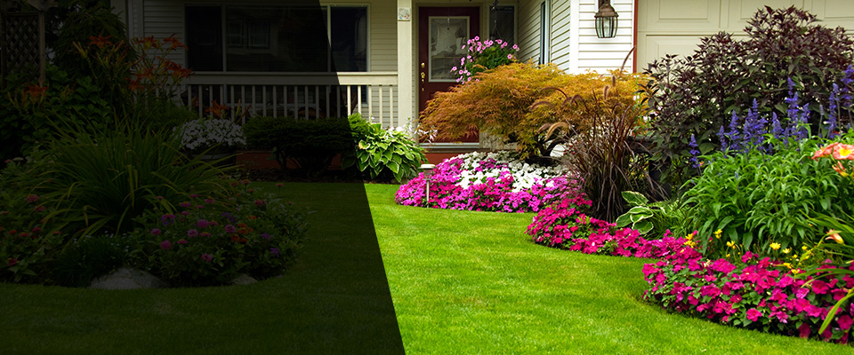 Jackson Landscapers