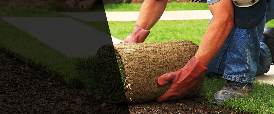 Jackson Landscapers